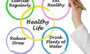 Health Bytes