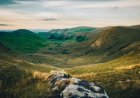 Environmental Impact of Artificial Intelligence