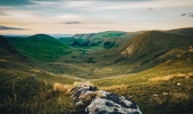 Environmental Impact of Artificial Intelligence