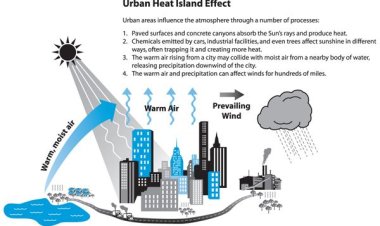 Urban heat island