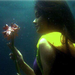 Raising wellness not the Illness 