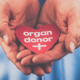 Organ Donation